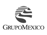 Cliente Grupo México Cd. de México D.F. - AD Tecnologías